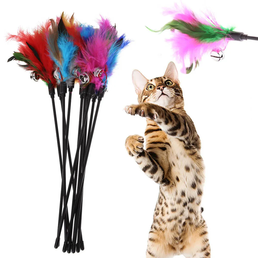 5 Pcs Kitty Feather Teasers