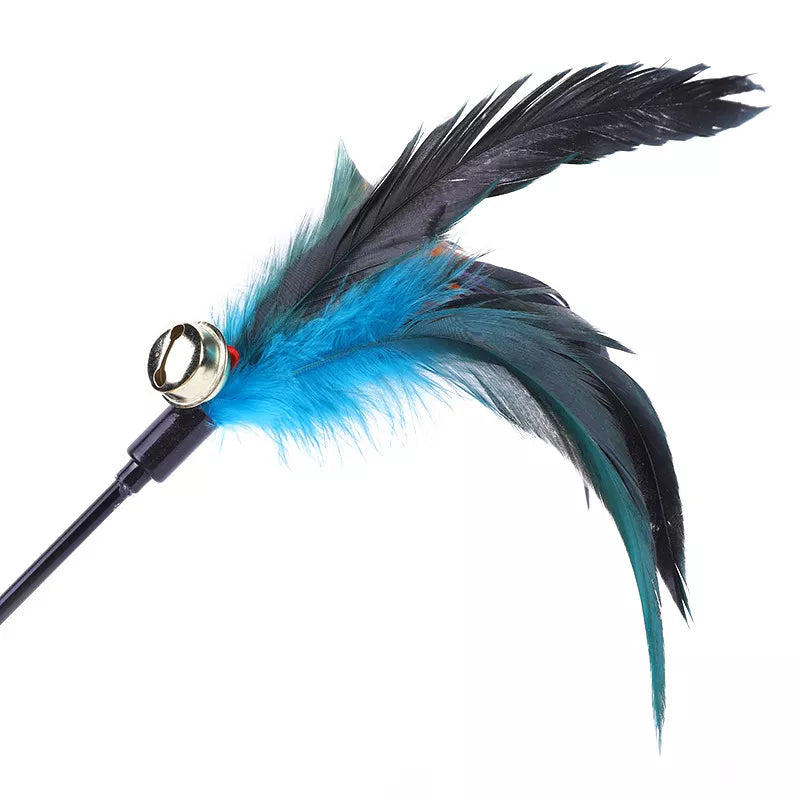 5 Pcs Kitty Feather Teasers