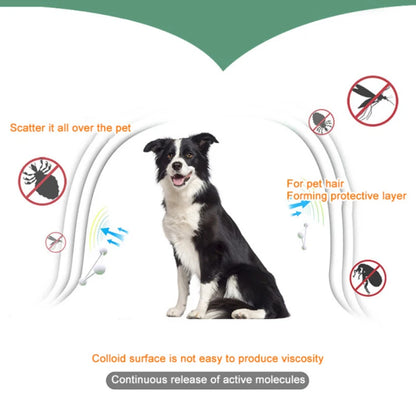 Anti Flea & Tick Collar