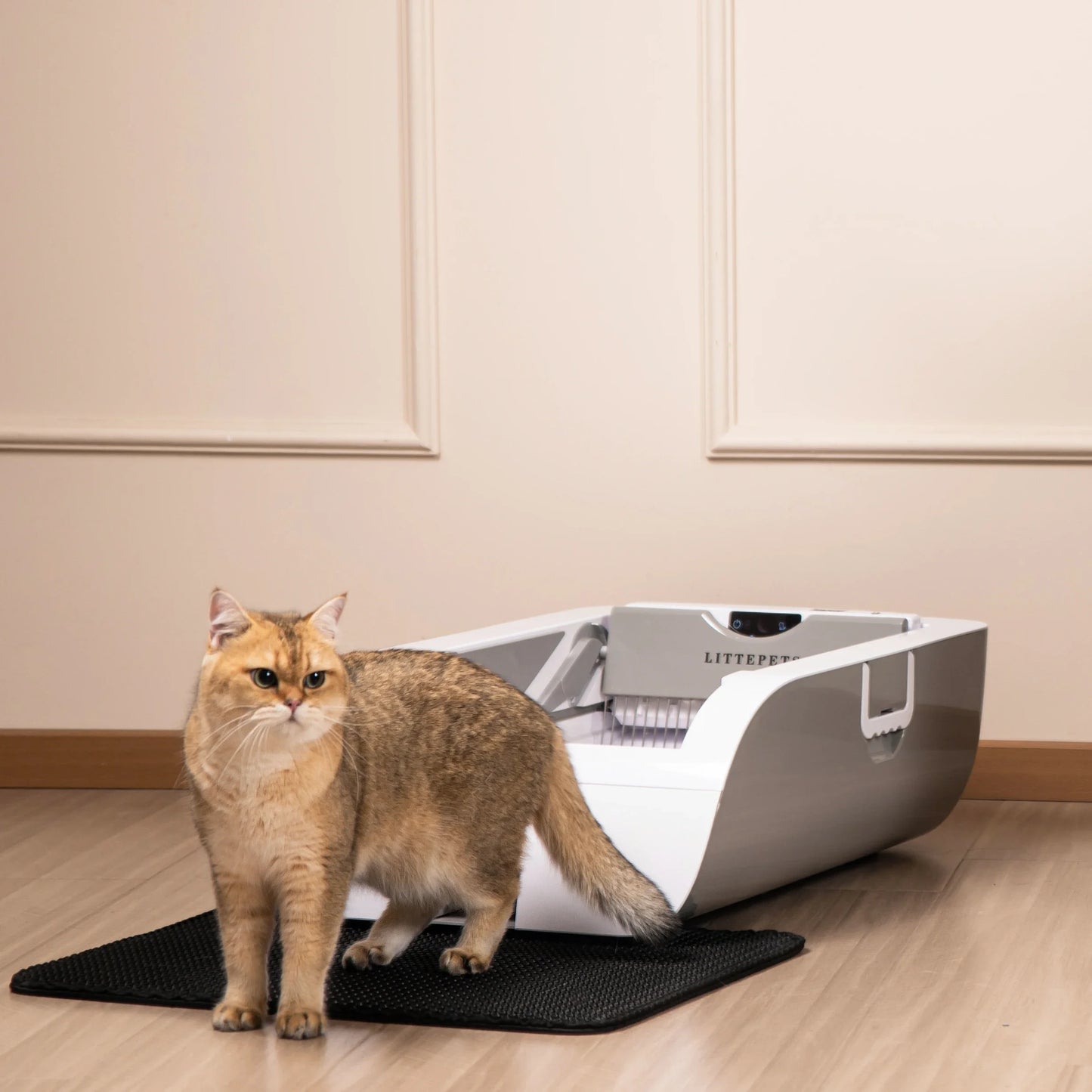 Pet Supplies Smart Cat Box Battery Version Self Cleaning Cat Toilet