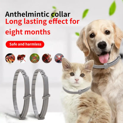 Anti Flea & Tick Collar